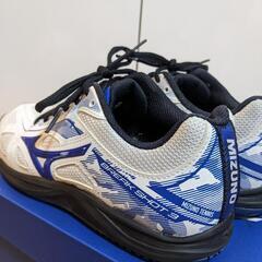 テニスシューズ　23センチ　オールコートの画像