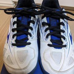 テニスシューズ　23センチ　オールコートの画像