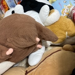 今から限定 ぬいぐるみ色々