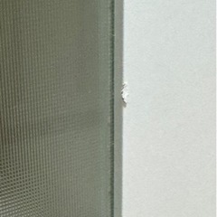 ニトリ レンジ台 食器棚の画像