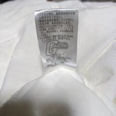⭐　マチルダさん❗の画像
