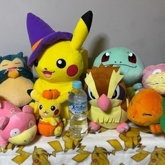 ポケモンぬいぐるみ　いっぱい⭐️の画像