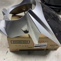 ビキニカウルの画像