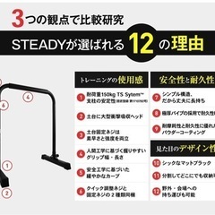 STEADY ディップススタンドの画像