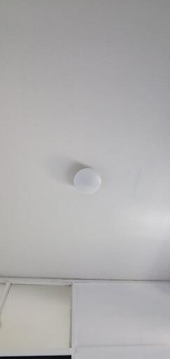 家具 照明器具