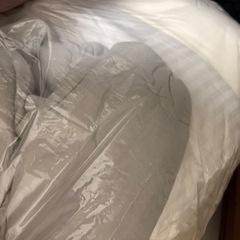 お引き取り探してます！掛け布団、枕