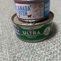 ペットキャリー天窓付き★1W限定安売り
❣️新品未使用☆ホワイトの画像