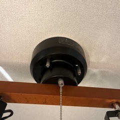 天井証明4灯　ブラックの画像