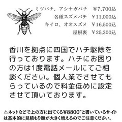 ハチ駆除サービス承っています！