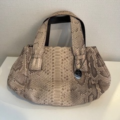 蛇皮 バッグ の画像
