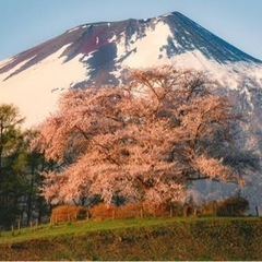 ツーリング一緒に行きましょう😊