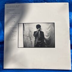 ☆LD/ CBSSONY 後藤次利 CITY TRICKLES 街の雫◆2枚組の画像