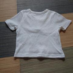 レディースシャツの画像