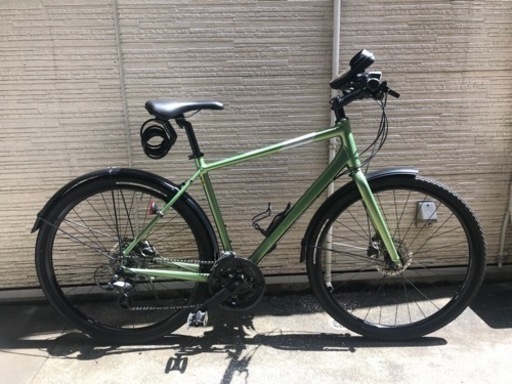 ジャイアント　グラビエディスク　2020  Mサイズ