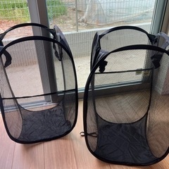 折りたたみ衣類収納2個セッド