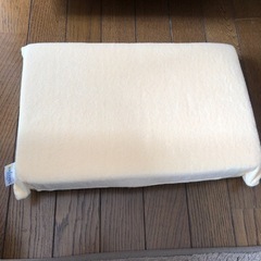 True  Sleeper枕