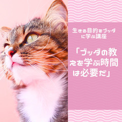 【三軒茶屋】生きる目的をブッダの教えに学ぶ講座【５月４日開催】