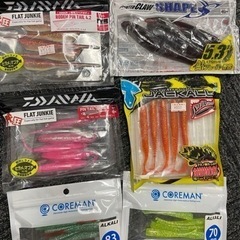 釣り　ワーム　セットの画像