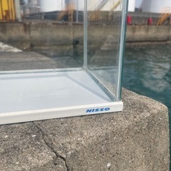水槽の画像