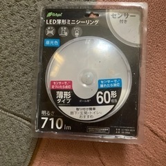 ミニシーリングライト