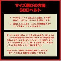 SBDパワーリフティングベルト幅13ミリSサイズの画像