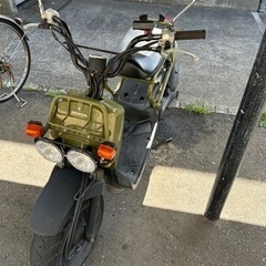 バイク スズキ　ズーマー　カーキー