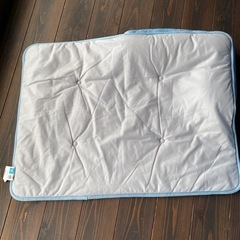 ペットゴロネマット　65×90  ニトリ　枕付クール夏用の画像