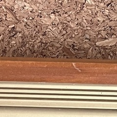 水墨画　達磨大師　色紙　額入りの画像