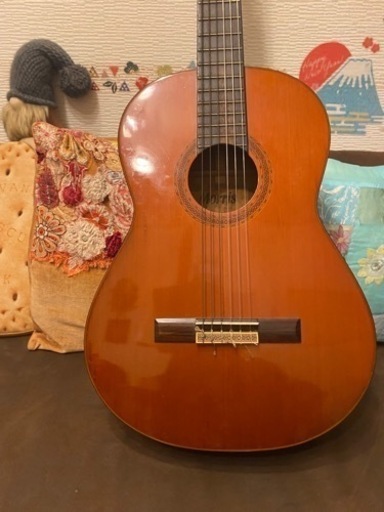 Morrisガットギター　楽器 弦楽器、ギター