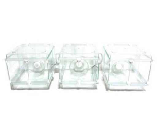 グラスハーモニー ハムスターゲージ 250cube 3個
