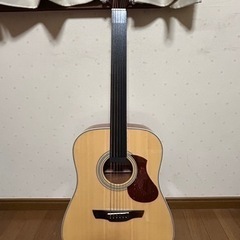 James J-300D NAT アコースティックギター お手入...