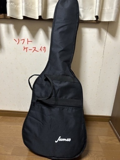 James J-300D NAT アコースティックギター お手入れグッズ付き