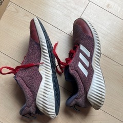 スニーカー　22センチの画像
