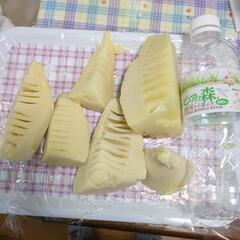 最終価格たけのこ(茹でてあります)400円〜1000円