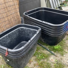 メダカ飼育容器の画像