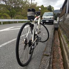 自転車 クロスバイクの画像