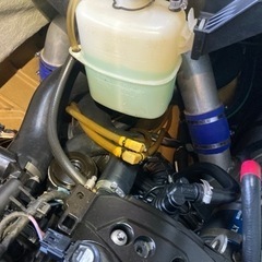 seadoo rxp260  
の画像