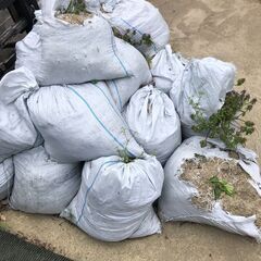 ロックコンテナの画像