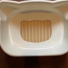 子猫トイレ