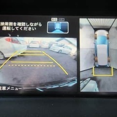 色が良いですよね、色が。色々な色がある中でもこの色が良いですよ、色が。の画像