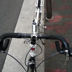 🚴tartarruga typesport20インチの画像