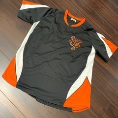 スポーツ 野球の画像