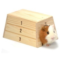 美品＊sanko＊小動物用＊跳び箱ハウスの画像