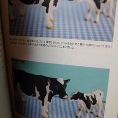 テーブルフォトの撮り方きほんbookの画像