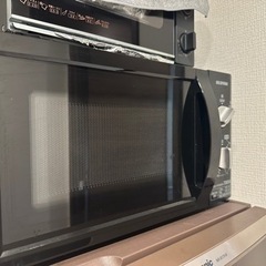 
アイリスオーヤマ　電子レンジ　2019年製