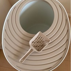 猫トイレの画像