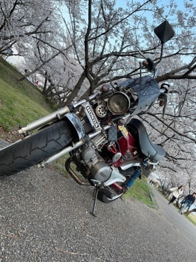 DAX 50 復刻モデル