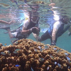 PADI スノーケル　ガイド　講習　募集