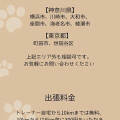 家庭犬のしつけを考えている方への画像