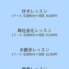 家庭犬のしつけを考えている方への画像